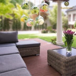 Meet your Posher, Hans